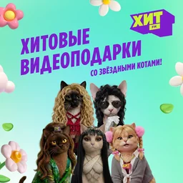 В ОК появились хитовые видеоподарки со звёздными котами!