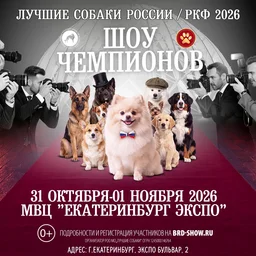 Всероссийская выставка собак впервые пройдёт в Екатеринбурге