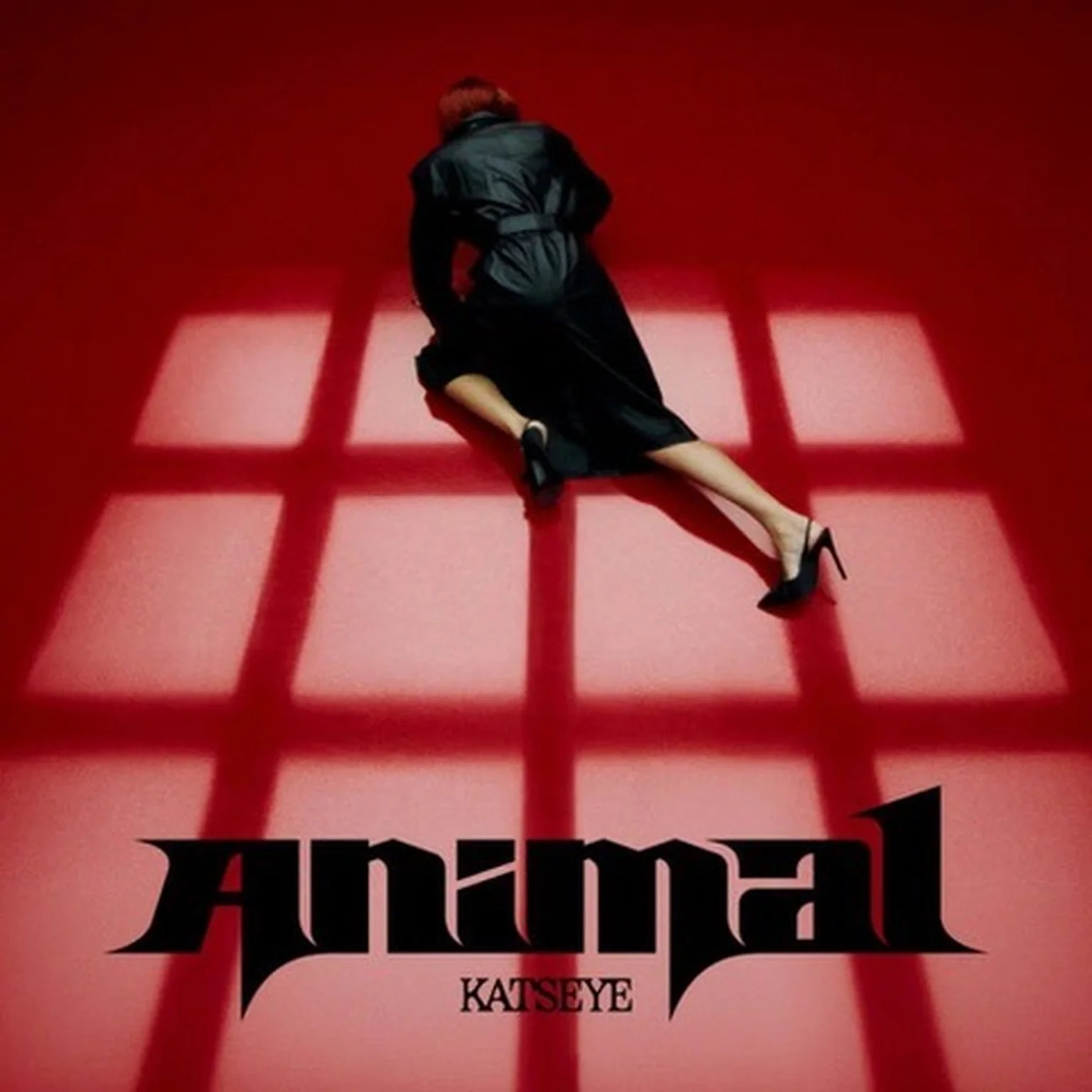 Animal