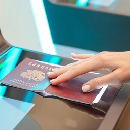 Москвичам рассказали обо всех способах голосования на выборах в Госдуму